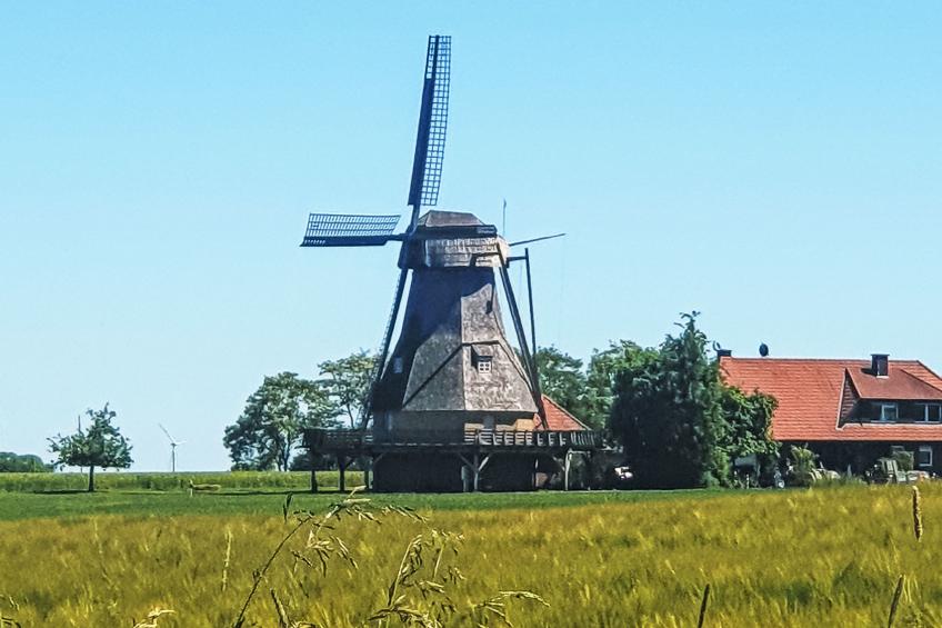 Im Grünen - foto 20