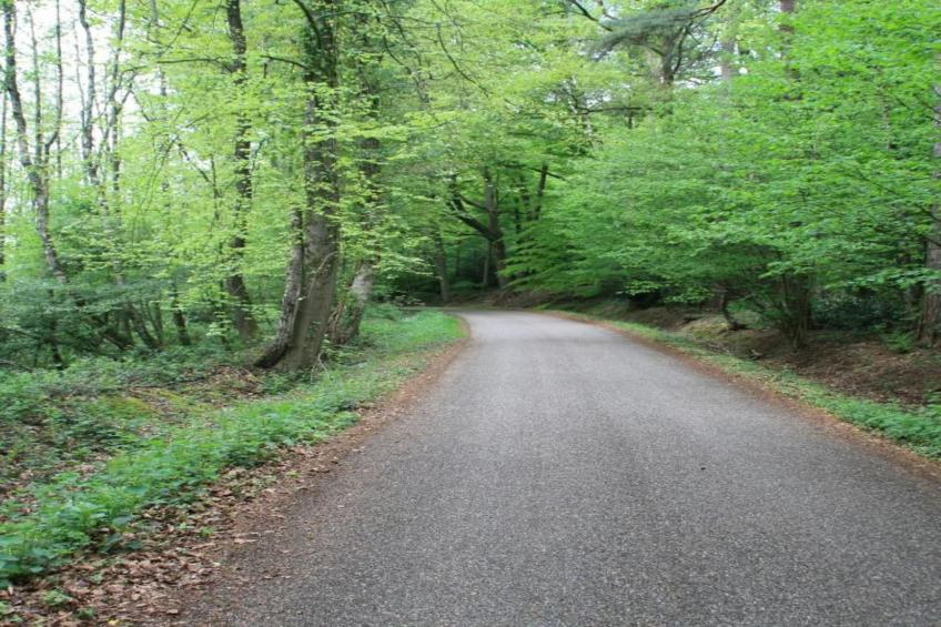 Chaletpark Kuiperberg - foto 29