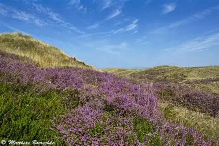Appartementen Post Hiddensee, Vitte - Type A - foto 20