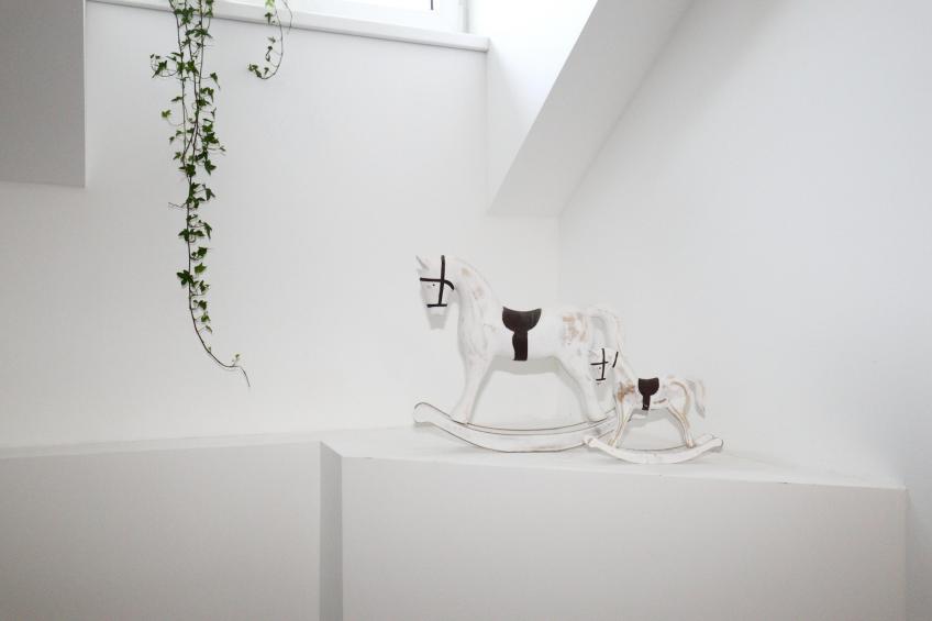Aloisia - foto 27