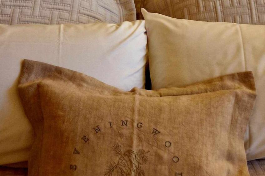 Luxus-Blockhausparadies Eveningwood im Spessart - foto 54