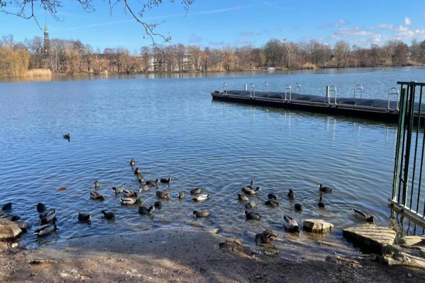 Little Hanoi - foto 30