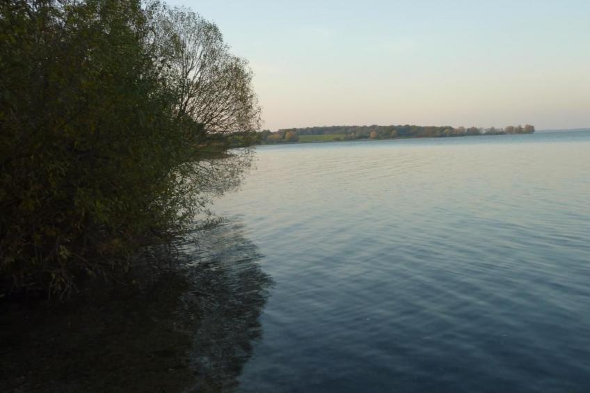 Müritzbrise groß in in Ludorf - foto 17