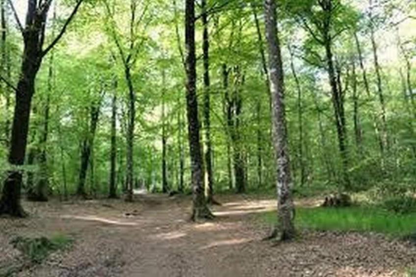 Résidence Le Domaine de l'Emeraude - foto 20