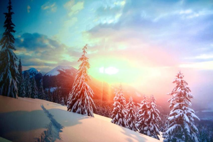 Boerenhof I - foto 37