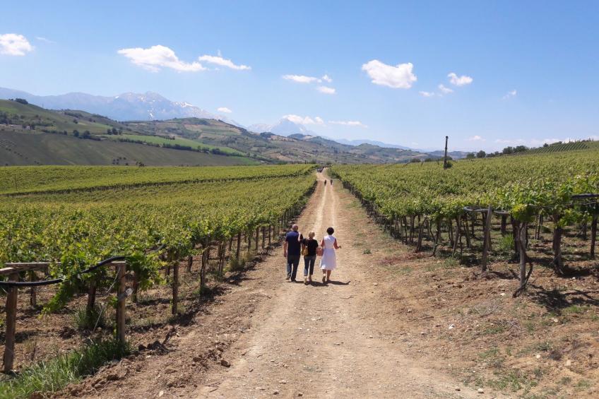 "Casa Luna" - foto 19