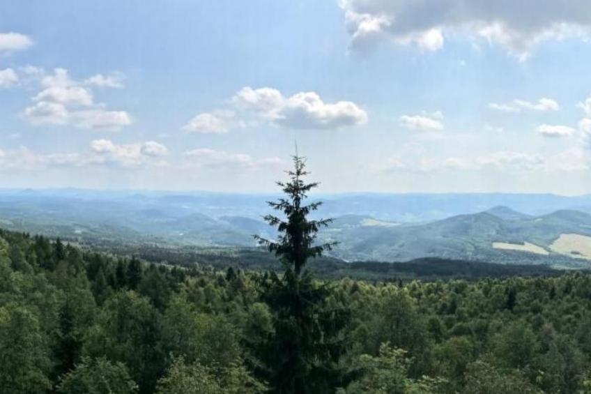 Fewo Natur und Kunst - foto 42