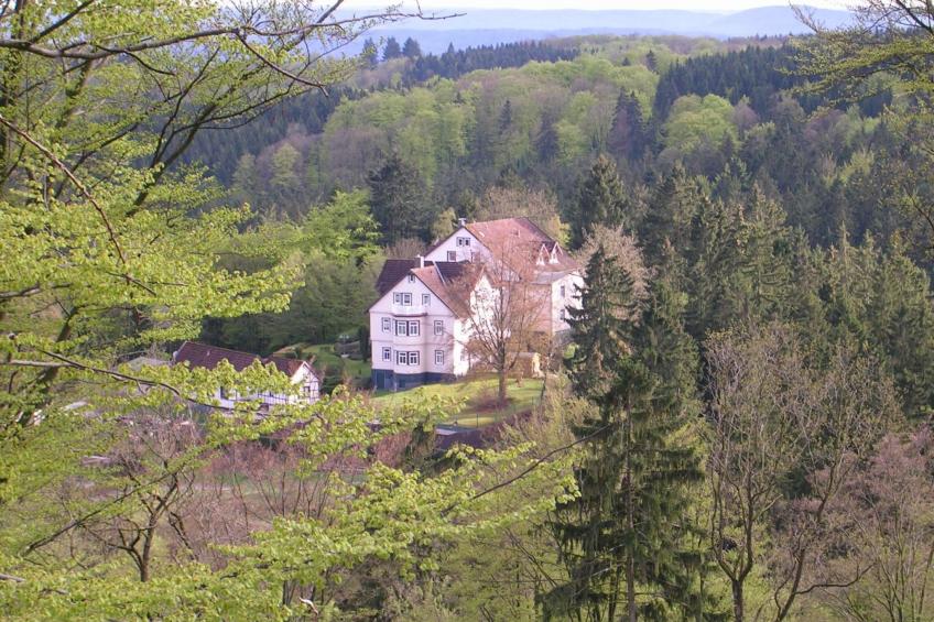 Der Falkenhorst - foto 2