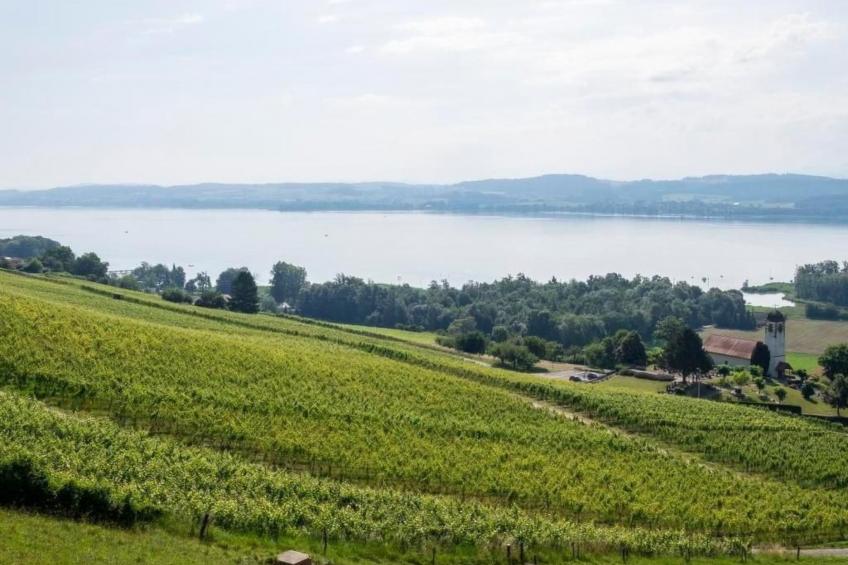 Gästehaus mit See- und Weitblick - foto 15