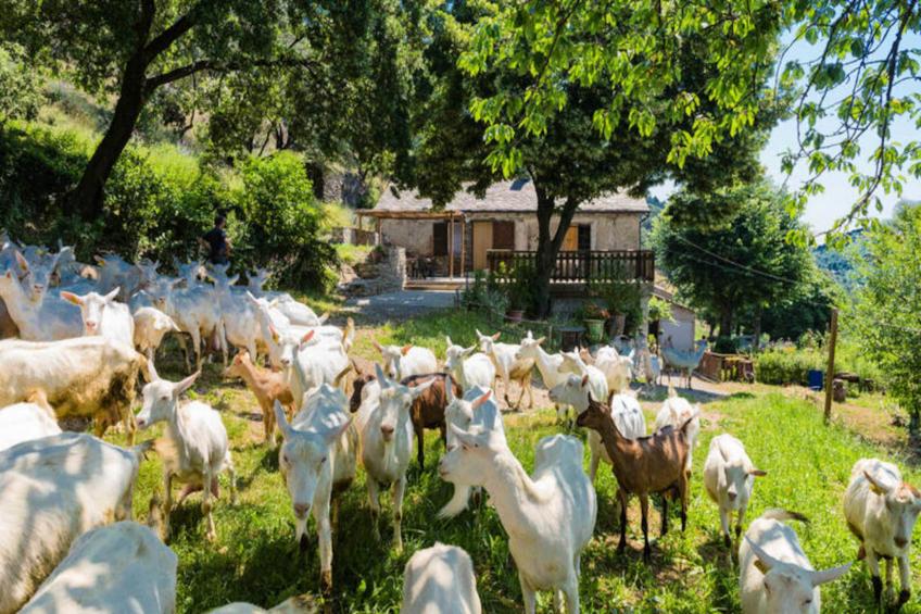 Gîte de France Gîtes de france 4/6 personnes à campéménard 2 épis - foto 14