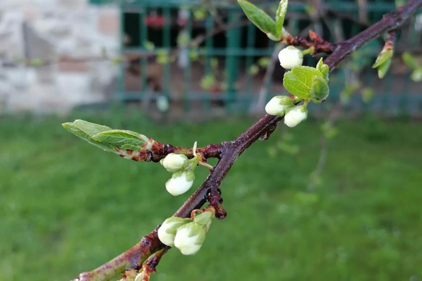Familienfreundlich Wohnen im Miriquidi - foto 8