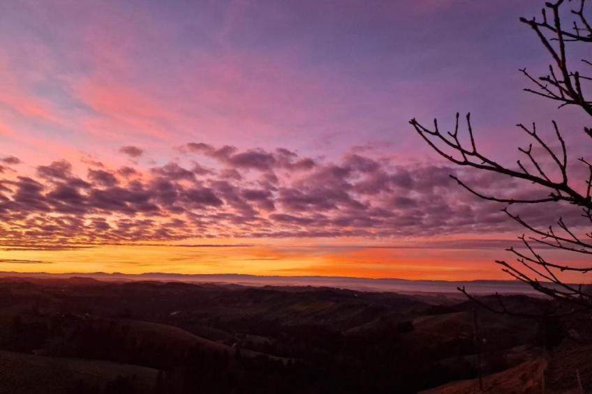 Wellness Oase - foto 22