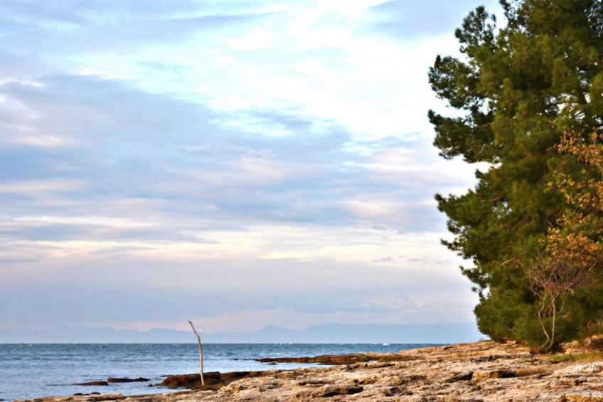 Holiday apartment for four people with dishwasher, air conditioning, parking space by the sea - BF-47W68 - foto 34