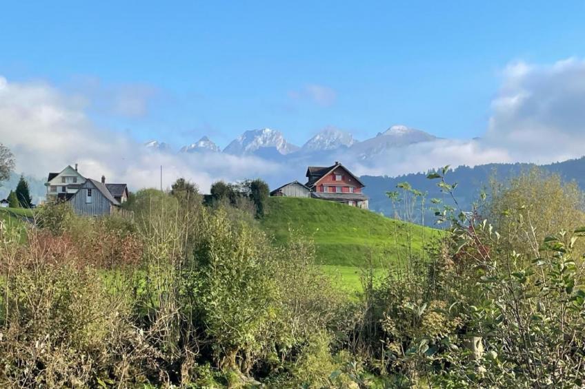 Altes Schulhaus - foto 37