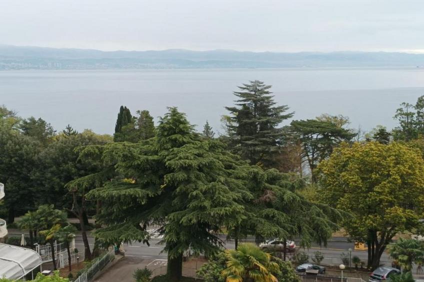 Aqua Maris Lovran - Two Bedroom Apartment with Balcony and Sea view - foto 30