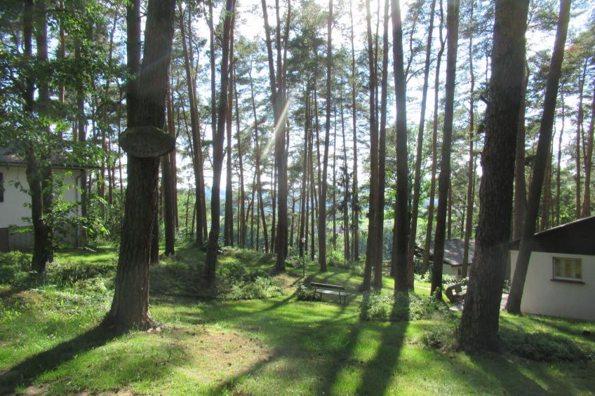 Ferienhäuser mit Pool in ruhiger Lage am Waldrand - foto 2