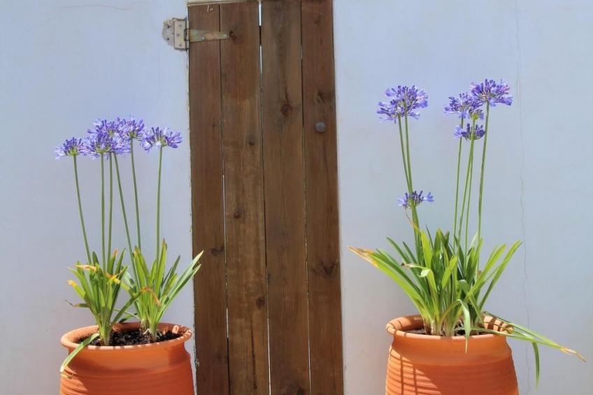 "The Recycle Art" mit Terrasse - foto 20