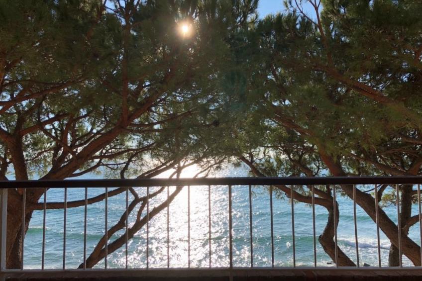 Wohnung an der Strandpromenade - foto 5