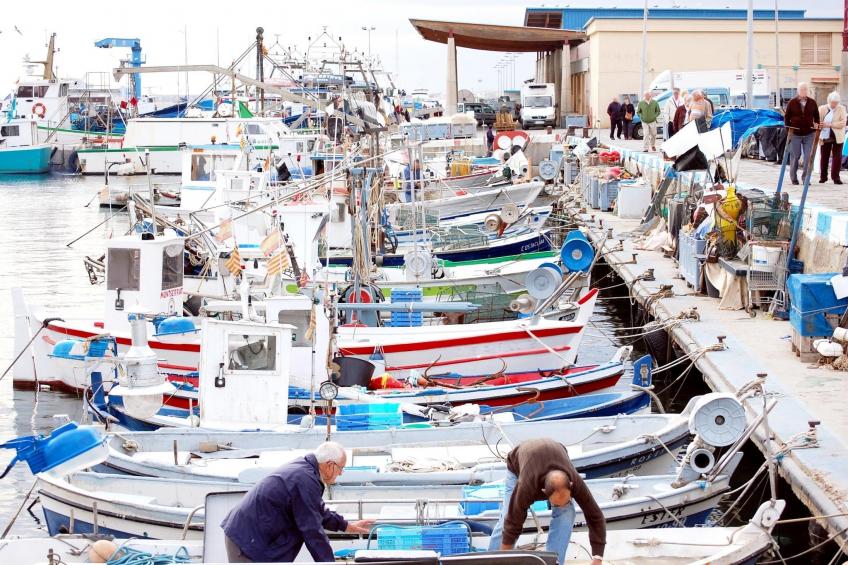 1232 GAUDI 100m PLAYA - foto 27