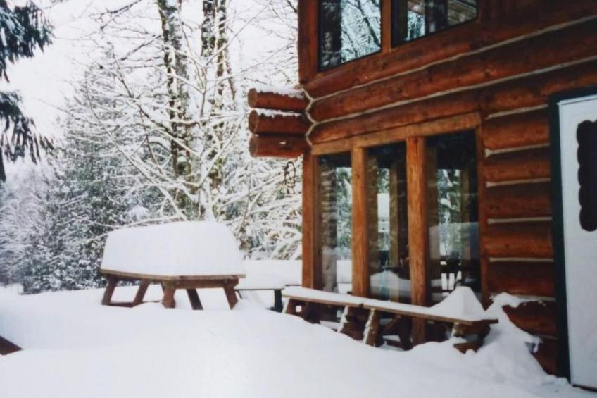 Lakeside Real Log Cabin mit privatem Dock, Haustiere OK - foto 22