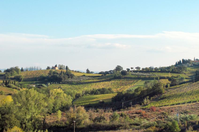 Wohnung Monteriggioni - foto 31