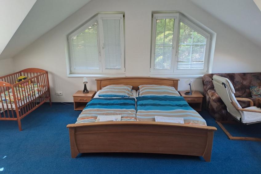 Komfortvilla in Prag, Hallenbad, Whirlpool, Sauna - foto 8