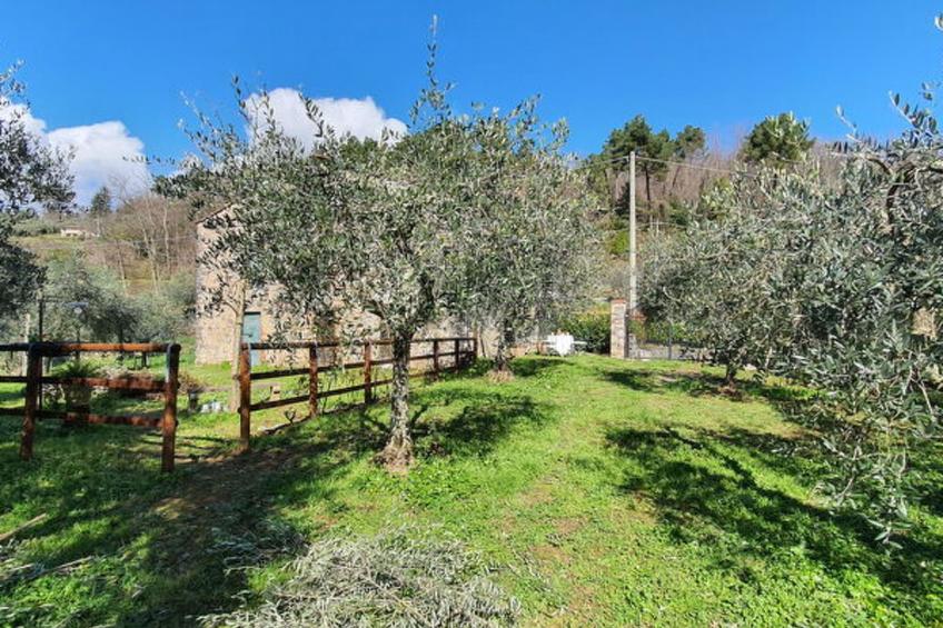 Il Cantuccio - foto 11