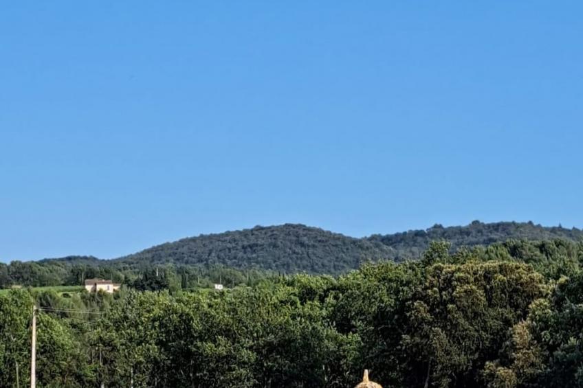 483686 - foto 34