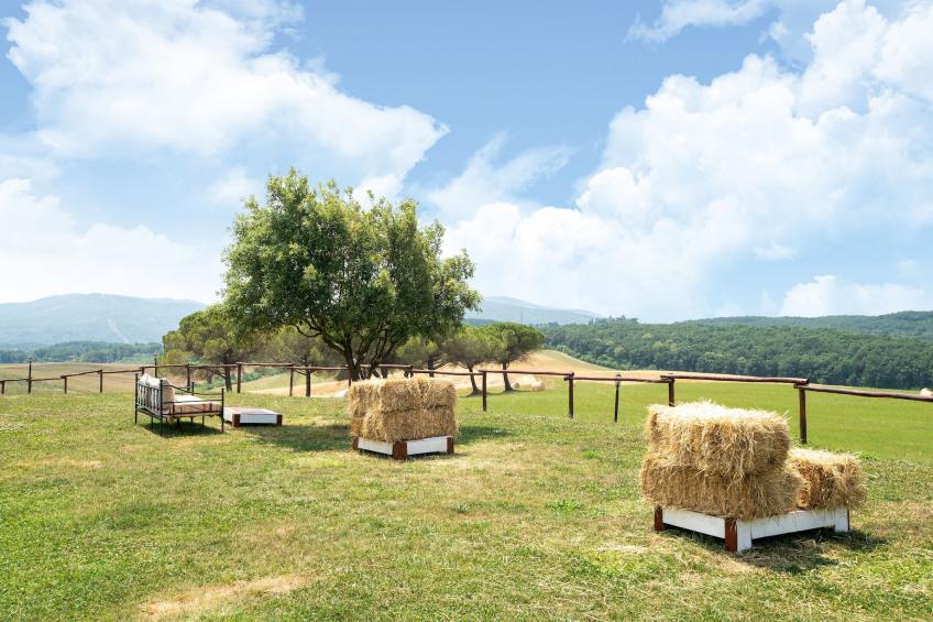 L'Oliveta - foto 38