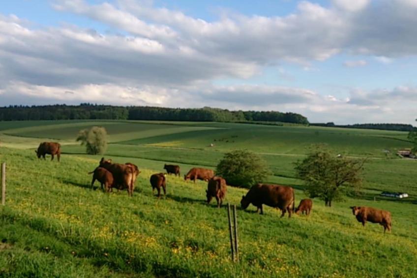 Fuchsbau Erdgeschoß - foto 14