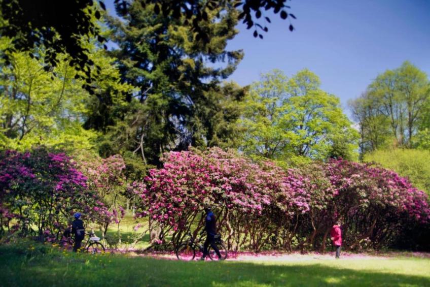 Ferienhaus Blanka - foto 31