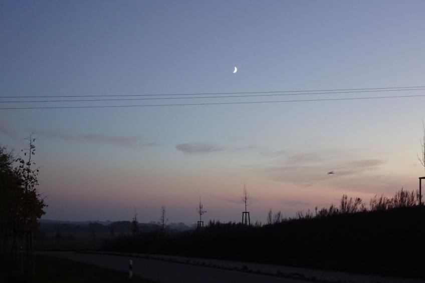 Sweet Home - foto 26