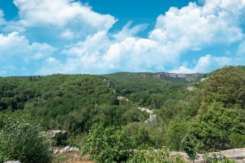 Grenadiers - foto 39