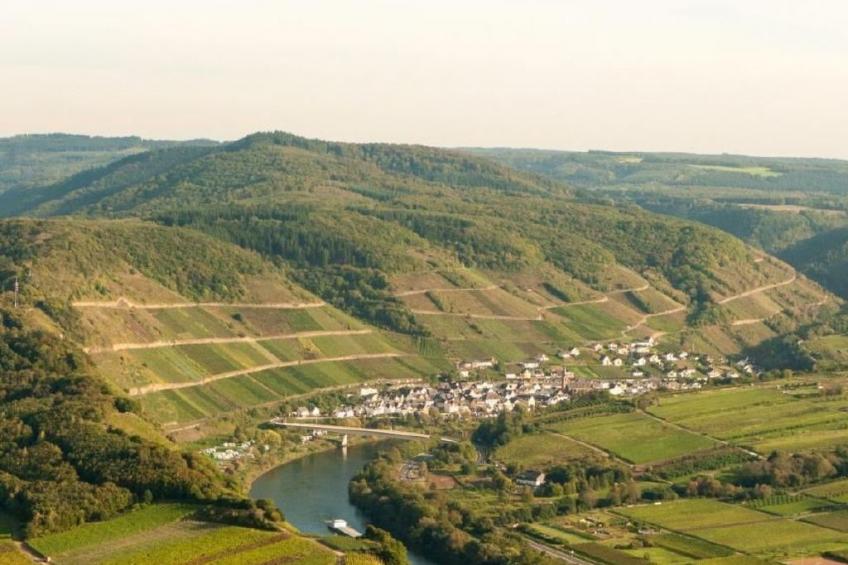 Perle-Lollipop - foto 33