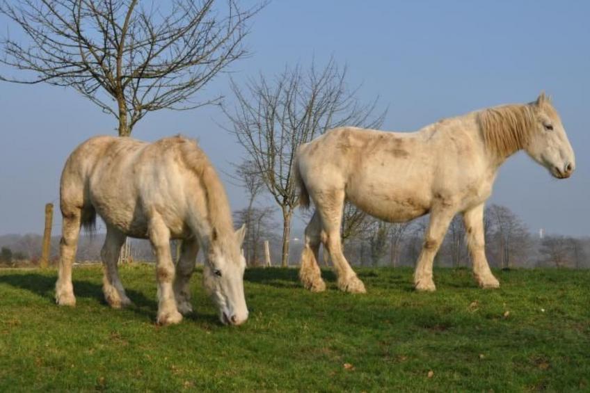 für acht Personen - foto 27