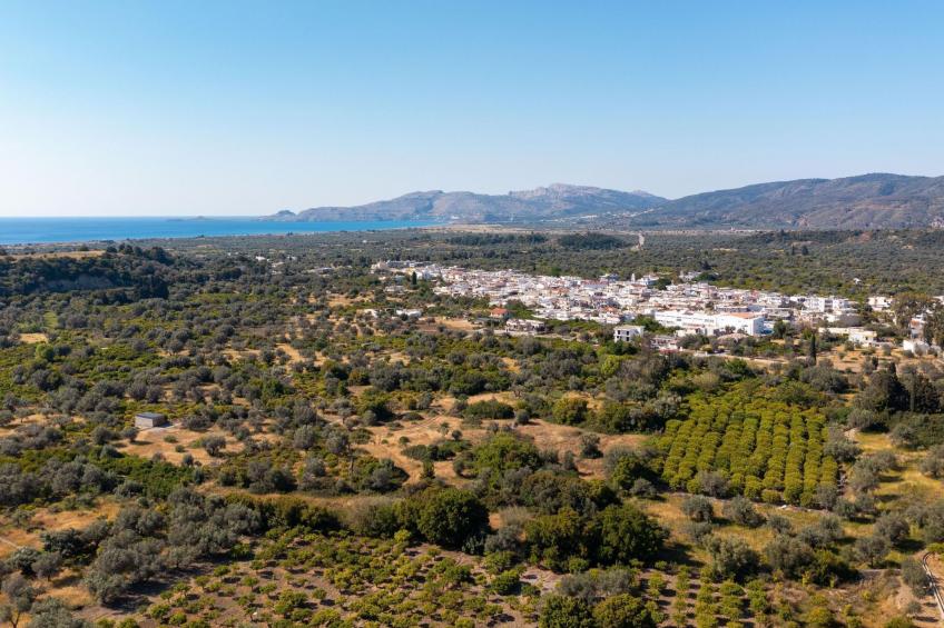 Massari Hills- Mer Armie - foto 48