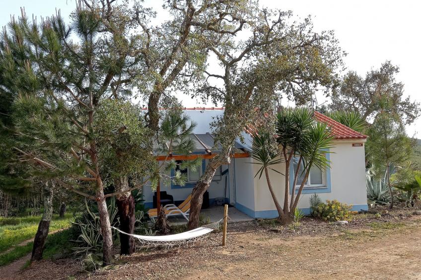 Monte Horizonte Casa Camelia Öko und Natur - foto 13