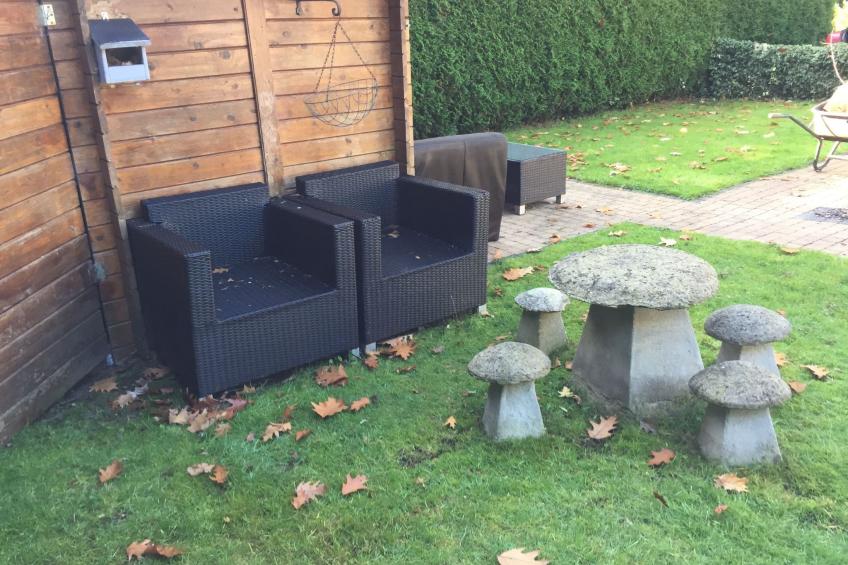 Ferien in Wageningen - foto 25