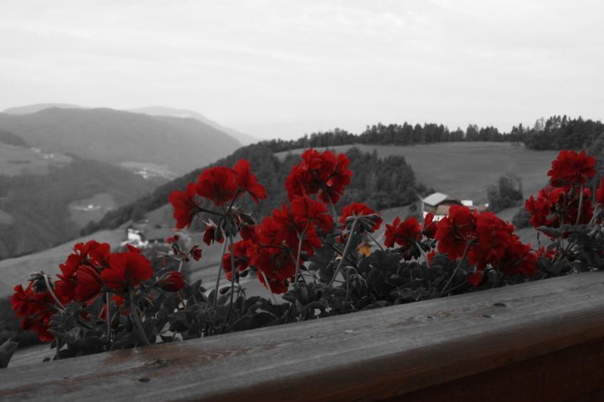 428432 - foto 9