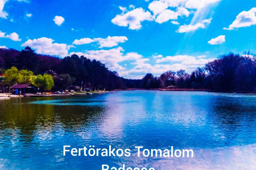 Tolles Ferienhaus mit Garten, Grill und Terrasse - foto 12