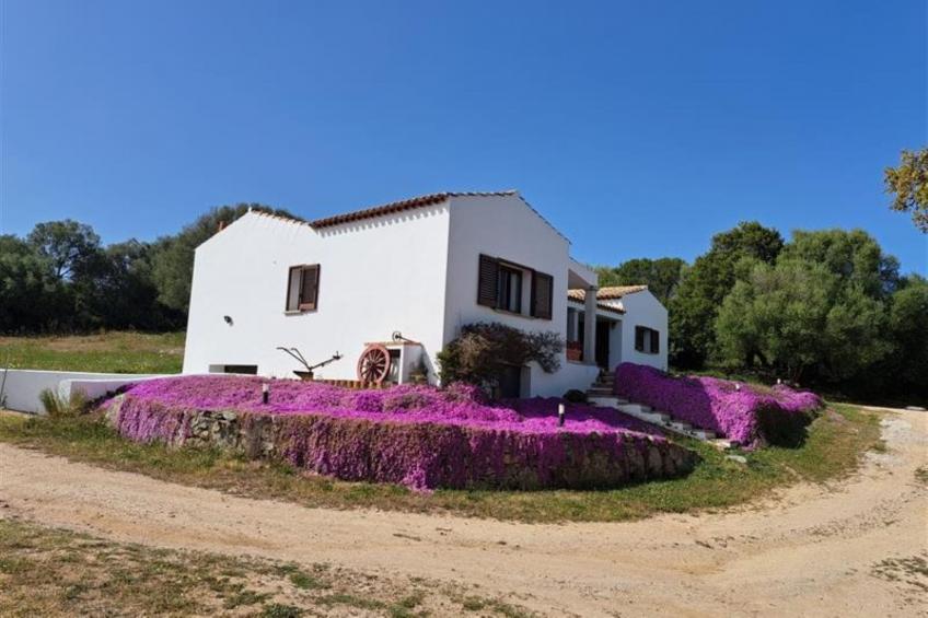 La Suara Manna - foto 13