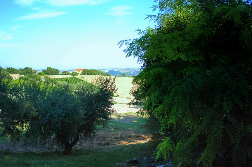 Lella - foto 32