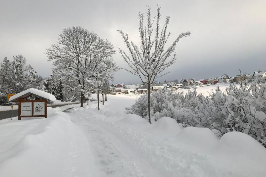 Haus Ketterer - foto 23