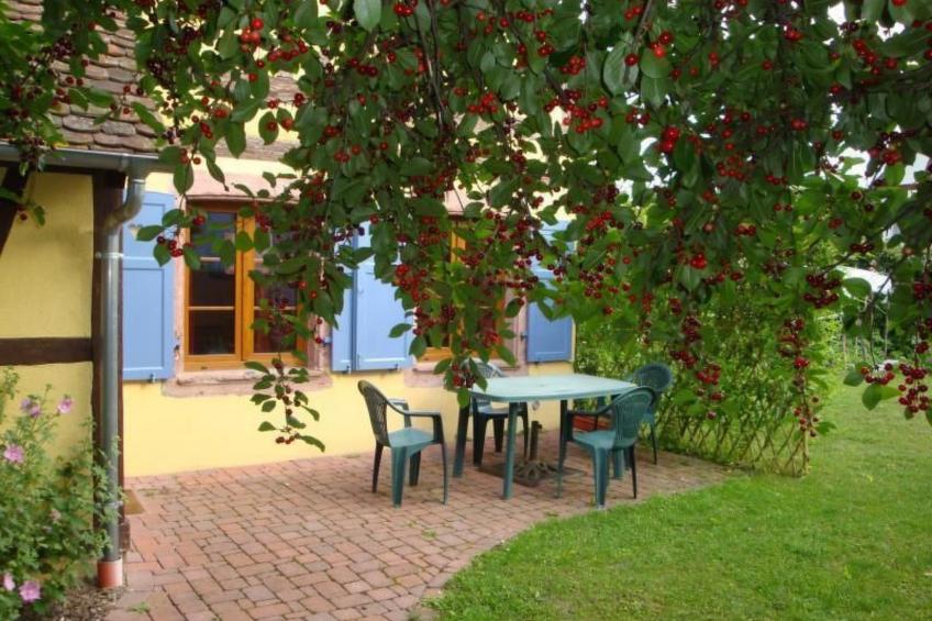 Gite "Sonneblüem un Pfefferminz" - foto 5