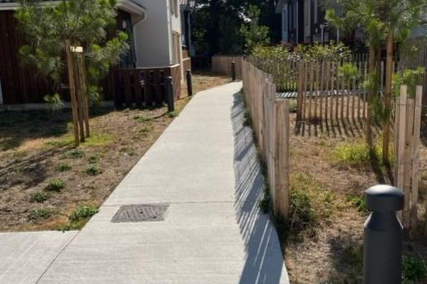 "Seepferdchen des Beckens" - foto 4