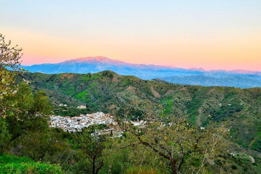 Villa Axarquia - foto 41