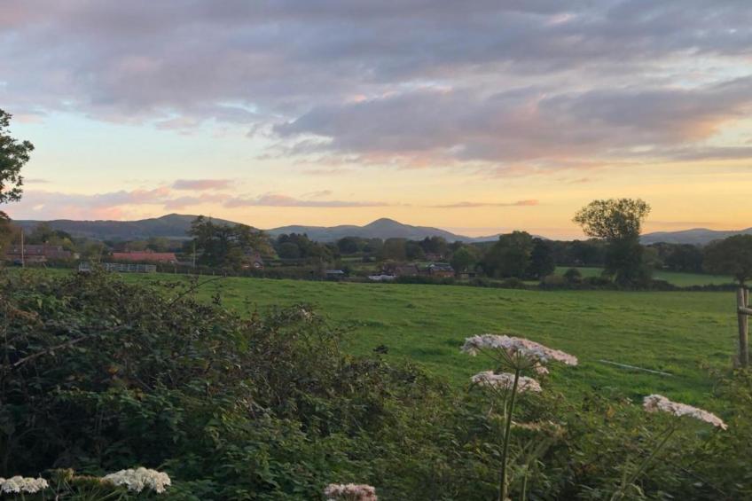 Netley Hall - Rose - foto 32