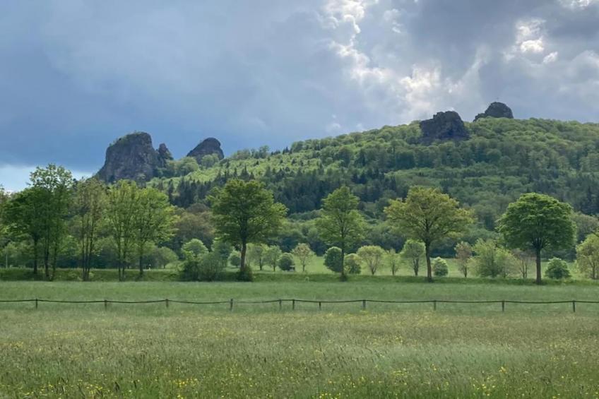 Im Ries III - foto 32