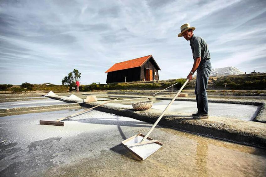 Maison à Brem-sur-Mer - foto 21