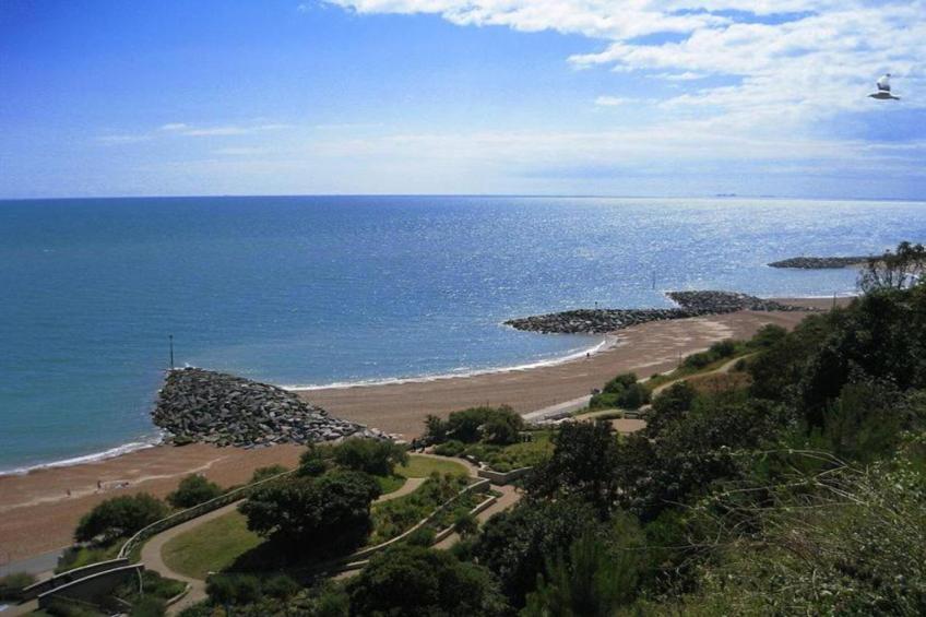 Golden Swan House - foto 27